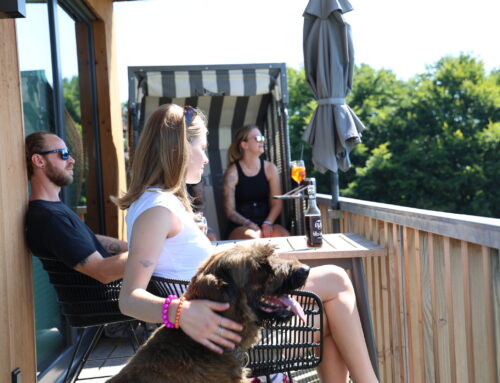 Übernachtung mit Hund?- Na klar!